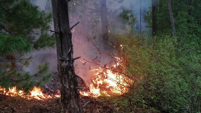 В Бурятии 20 человек тушили лесной пожар
