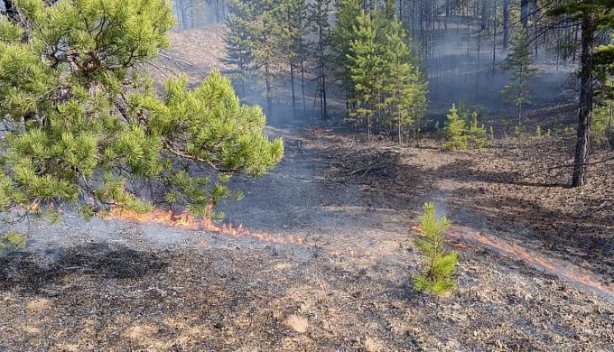 В нацпарке Бурятии тушат два возгорания в лесах