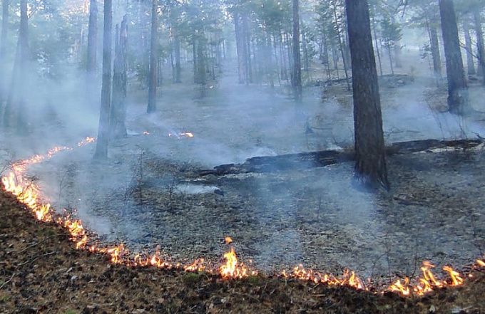 На севере Бурятии горят леса