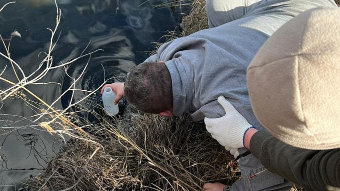 Эксперты отобрали образцы почвы и воды возле свинокомплекса в Бурятии