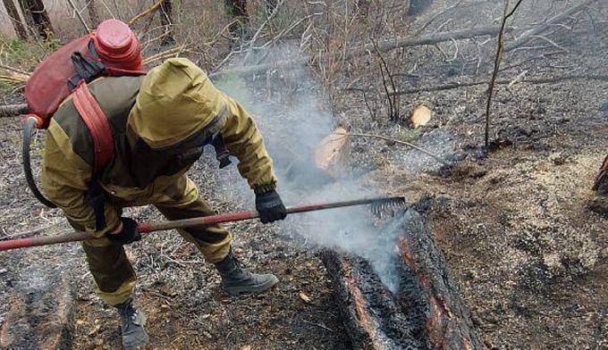 В Улан-Удэ потушили лесной пожар на Дивизионной