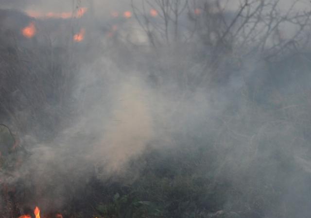 Жителям Бурятии напомнили, что делать при сильном задымлении от лесных пожаров
