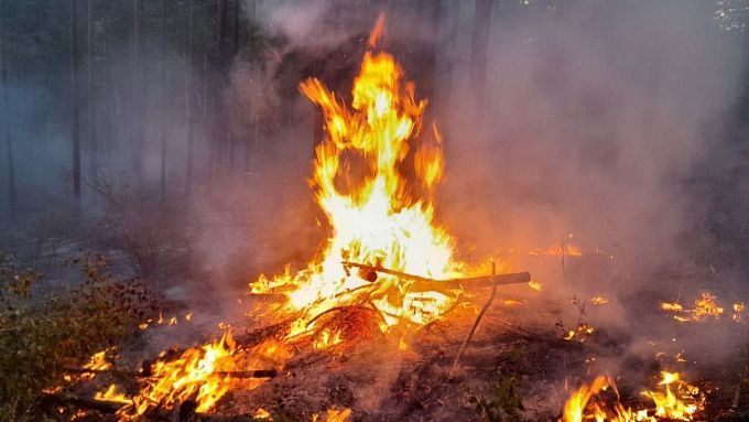 В Бурятии по вине человека снова горел лес