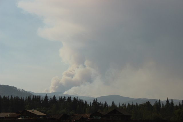 На севере Бурятии зарегистрировано два лесных пожара