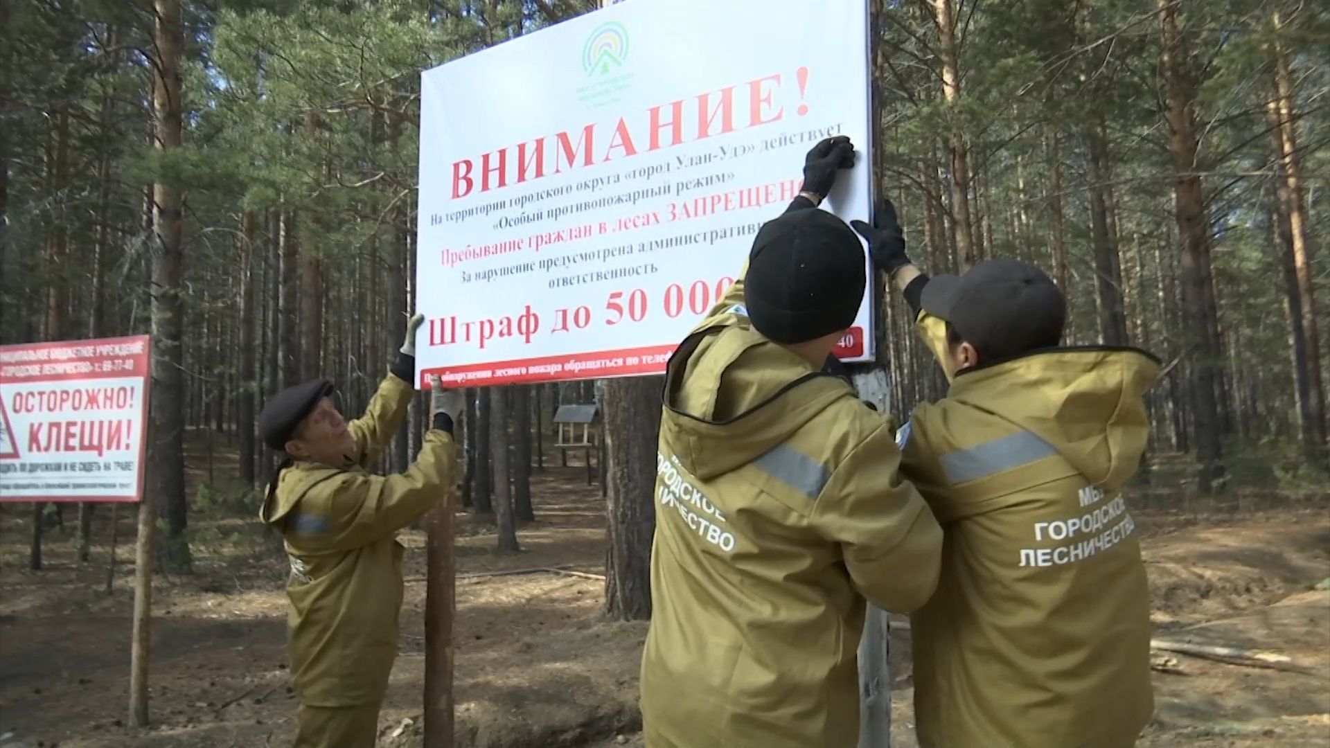 Полгода без тропы здоровья. В Улан-Удэ начал действовать запрет на  посещение лесов