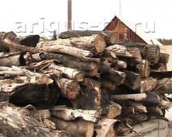 Городские лесники дарят улан-удэнцам бесплатные дрова