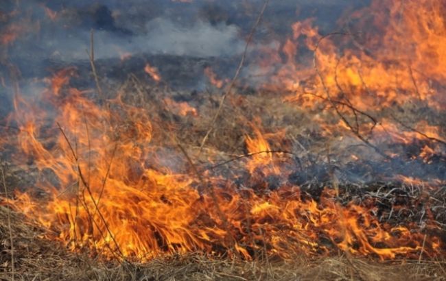Причиной крупных пожаров в Бурятии часто становится огонь с бесхозных полей