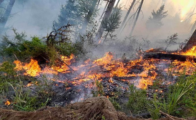Сухая гроза стала причиной лесного пожара в районе Бурятии