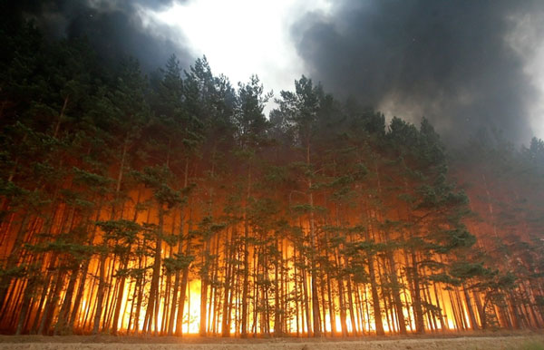 Лесной пожар угрожал с.Горхон в Заиграевском районе Бурятии 