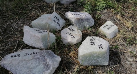 Тонны белого нефрита из Бурятии вывозили в Китай через Казахстан