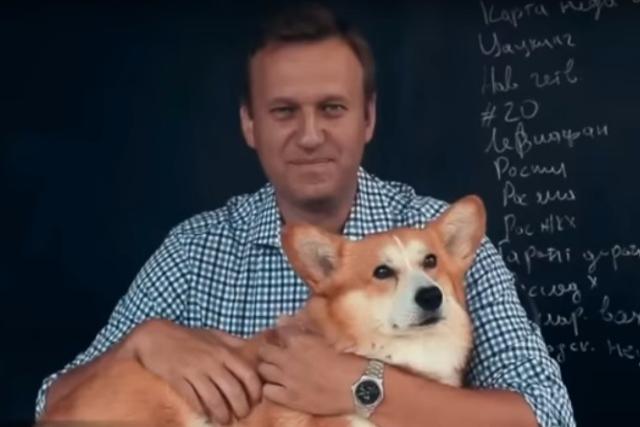 Алексей Навальный, возможно, приедет в Улан-Удэ