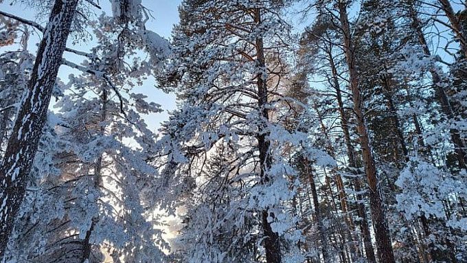 Морозы до -43 местами ожидаются в Бурятии