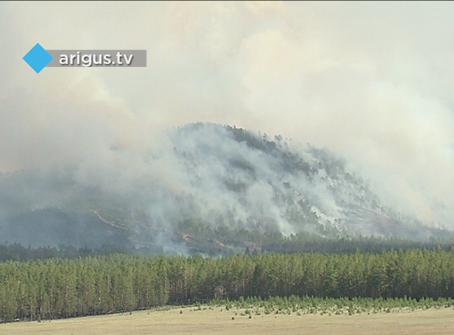 В Бурятии за сутки число лесных пожаров увеличилось до 10