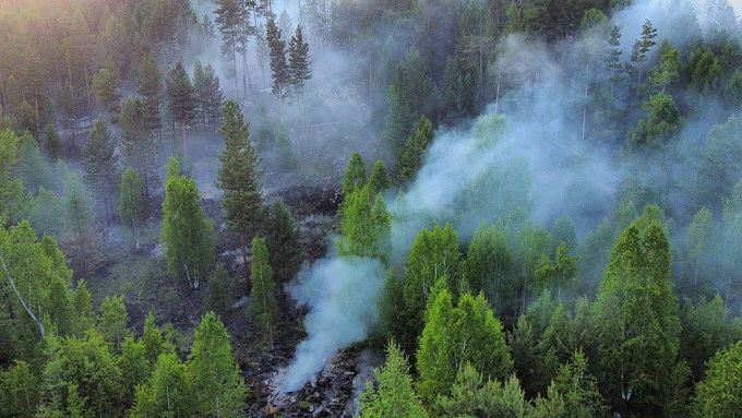 В Улан-Удэ по-прежнему нельзя ходить в лес