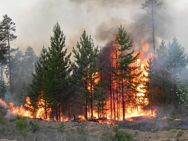 Леса Бурятии продолжают гореть несмотря на снег и похолодание