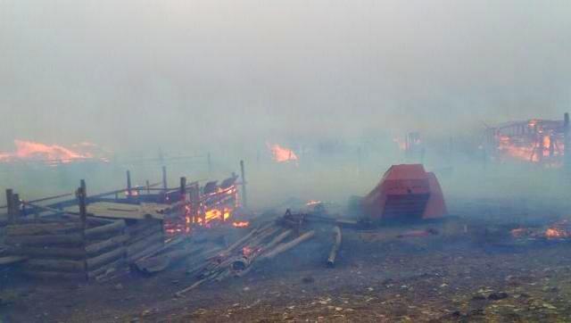 В Забайкалье из-за урагана горело 14 сел. В регионе введен режим ЧС (ФОТО)