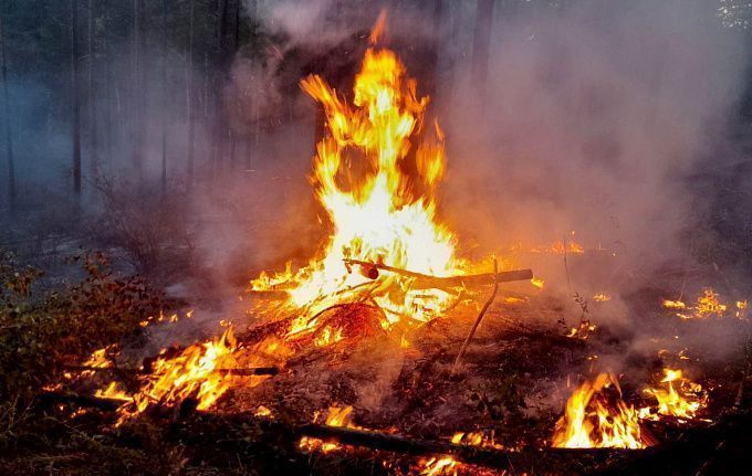 195 человек сражались с лесными пожарами в Бурятии
