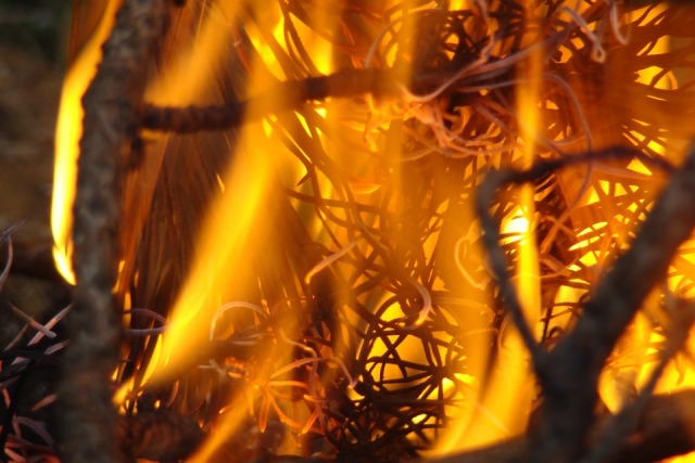 Лесные пожары действуют в четырех районах Бурятии 