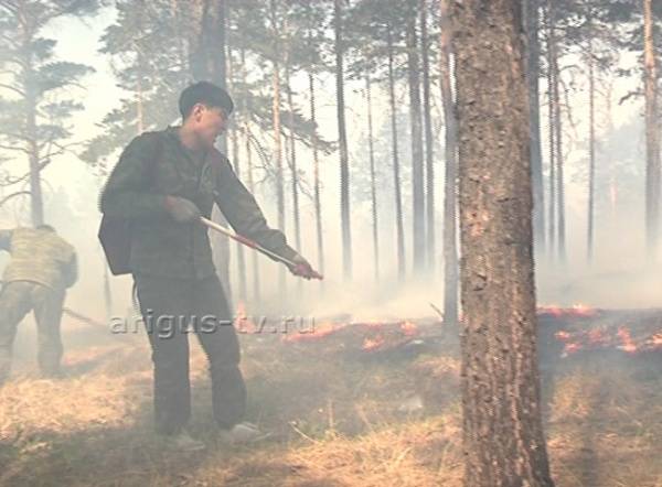 В Бурятии из-за лесного пожара эвакуировали детей из двух оздоровительных лагерей