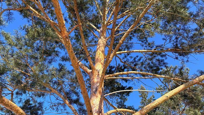 Воздух в Бурятии прогреется до +8 градусов