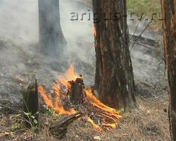 В Бурятии из-за пожаров вновь введен запрет на посещение лесов