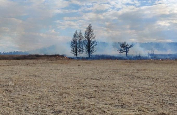 В пригороде Улан-Удэ горело 1,5 гектара сухостоя