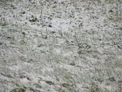 В Приангарье выпал первый снег