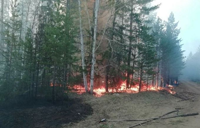 В Бурятии с начала апреля сгорело более 23 тысяч гектаров леса