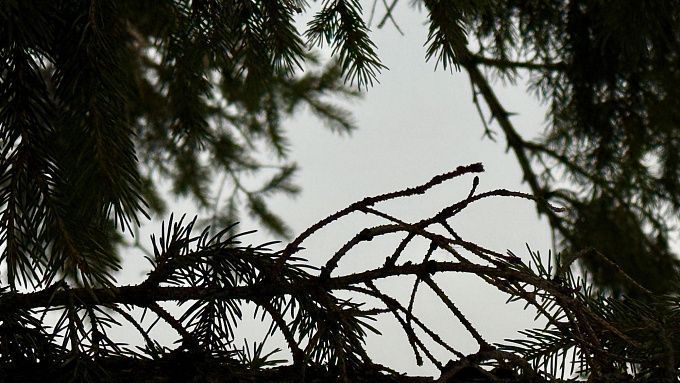 Снег и ночные морозы: холодная погода задержится в Бурятии 