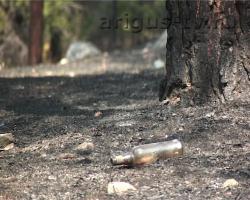 Бурятия разгорается. Полтора гектара улан-удэнского леса было уничтожено из-за «любопытства»