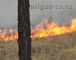 Режим ЧС. 21-летний житель Бурятии оштрафован на 580 млн. рублей за лесной пожар