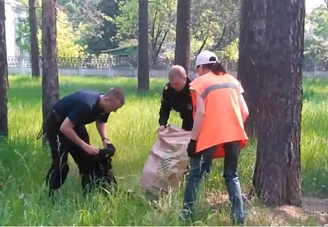 В Иркутской области полицейские спасли обезьяну-капуцин