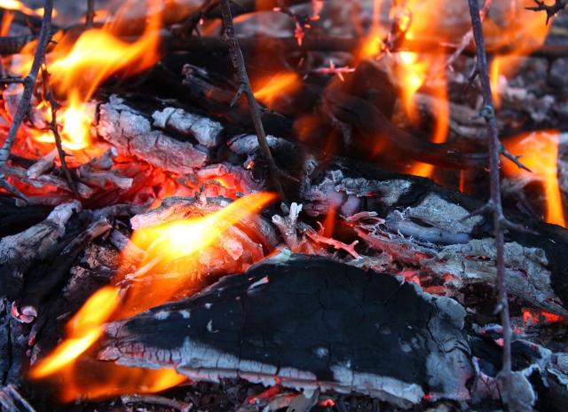 В Бурятии подростка забили молотком за «неуважение» и сожгли