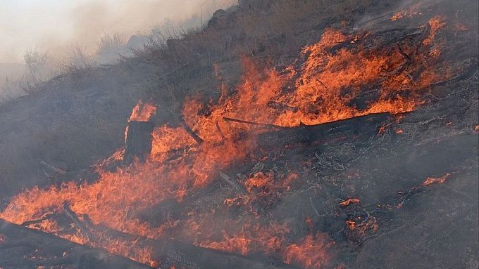 В лесах Бурятии продолжают тушить сложный пожар