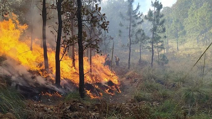 Построенный детьми шалаш привел к лесному пожару в Бурятии