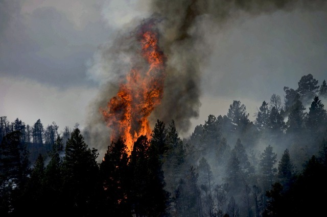 В Бурятии тушат два лесных пожара 