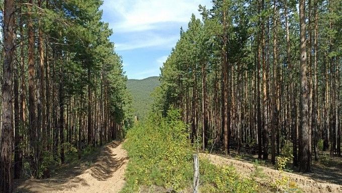 Для улан-удэнцев открыли одну из пешеходных троп 