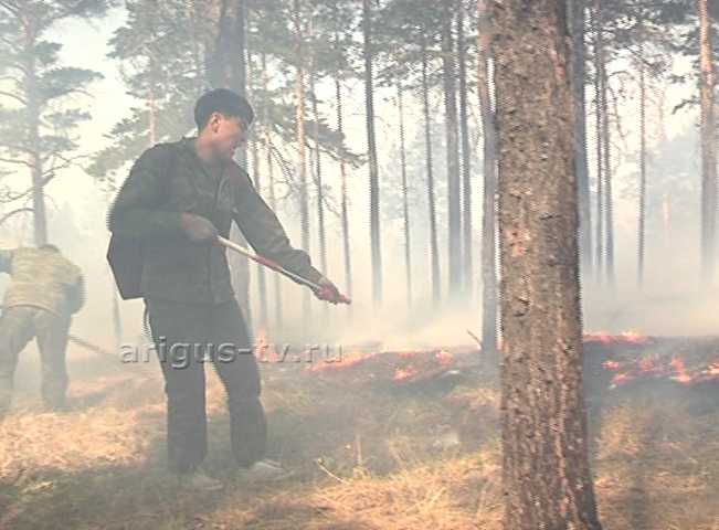 Грибники и ягодники спровоцировали рост числа лесных пожаров в Бурятии 