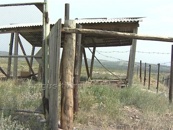 Правительству Бурятии придётся "прибрать" скотомогильники в Баунтовском районе