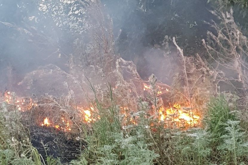 Пожар в улан удэ. Пожары в Бурятии. Тополиный пух пожар. Тополиный пух пожарная безопасность МЧС.