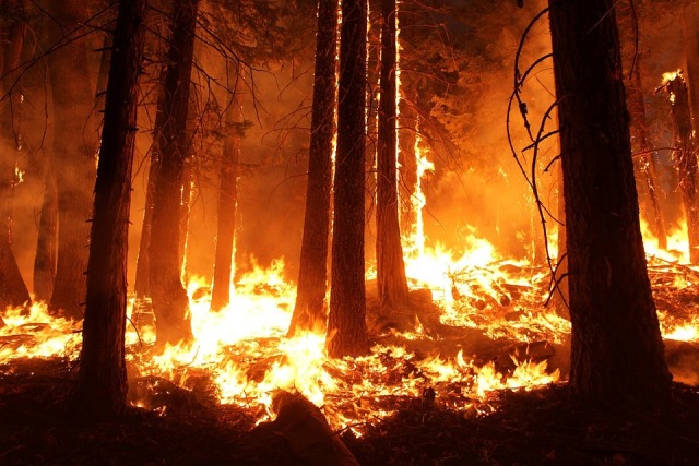 Лесной пожар вновь подошел вплотную к селу в Бурятии 