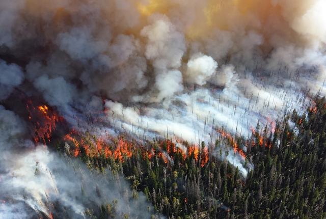 В Бурятии горит 1,4 тысячи га леса
