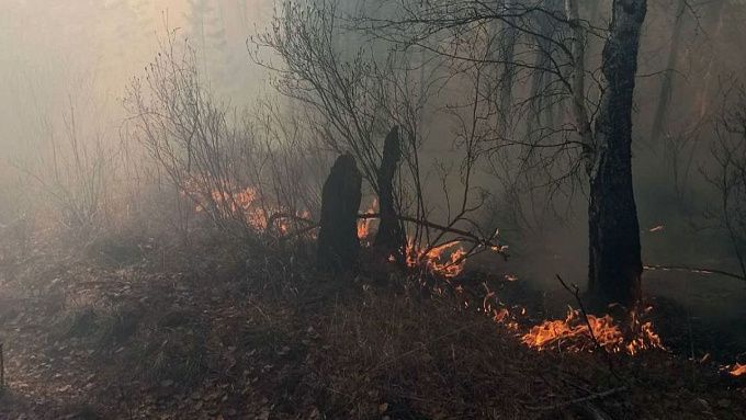 В Бурятии второй день тушат сложный лесной пожар. Уничтожено 360 гектаров