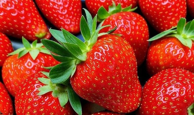 Операция «Клубника»: улан-удэнка продавала чужие ягоды на остановке