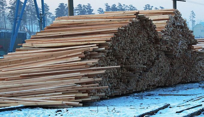 В Бурятии завели дело о многомилионной контрабанде леса