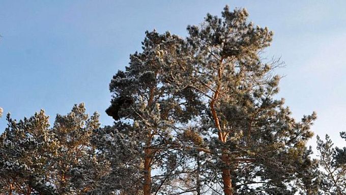 До -38 местами ожидается в Бурятии в первый день весны