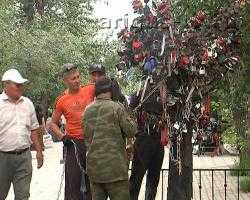 Вынужденная реставрация. На кованом дереве в центре Улан-Удэ "выросли" новые ветки