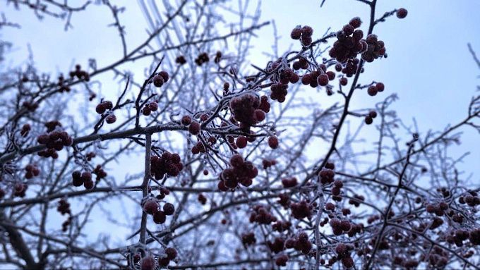 Морозы не отступают: Холодная погода ожидает жителей Бурятии в выходные