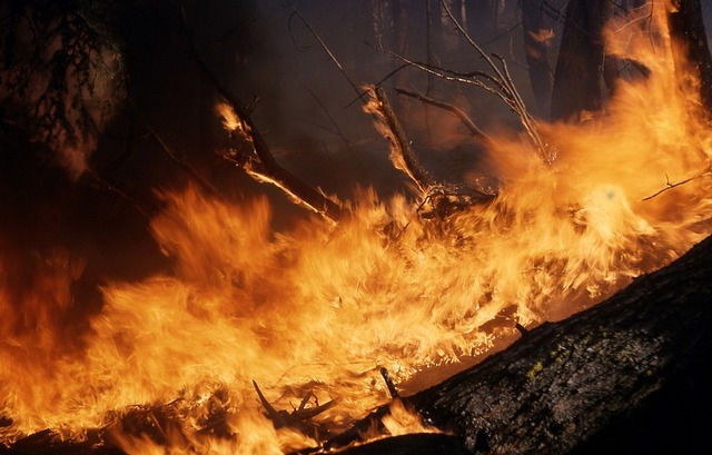 Площадь пожаров в Бурятии возросла до 660 га, один из очагов - в Джергинском заповеднике