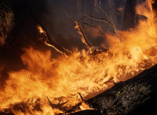 В Бурятии возможна новая волна лесных пожаров